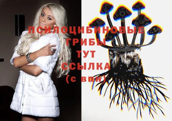 марки lsd Белокуриха